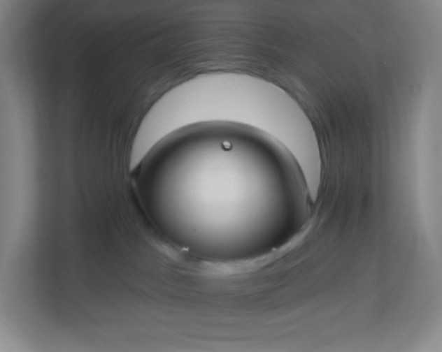 X0000113300045200909281113