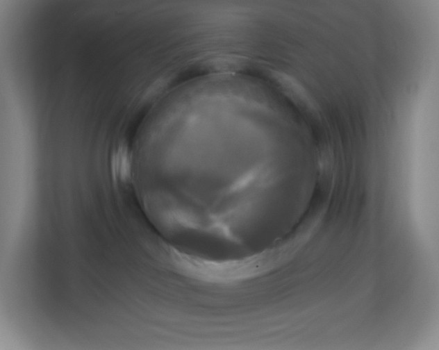 X0000113300046200909281113