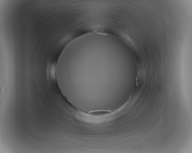 X0000113300047200909281113