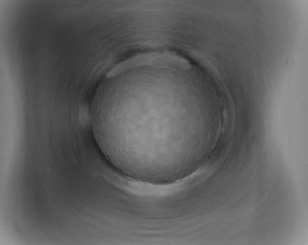 X0000113300048200909281113