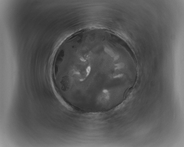 X0000113300049200909281112