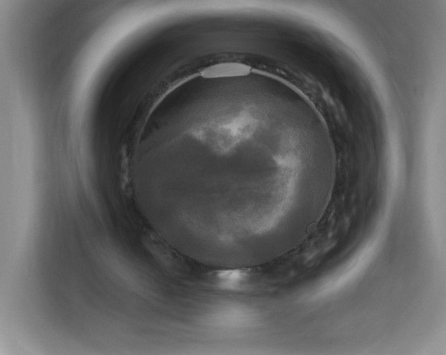 X0000113300050200909281112