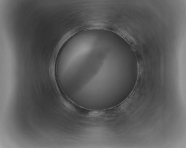 X0000113300051200909281112