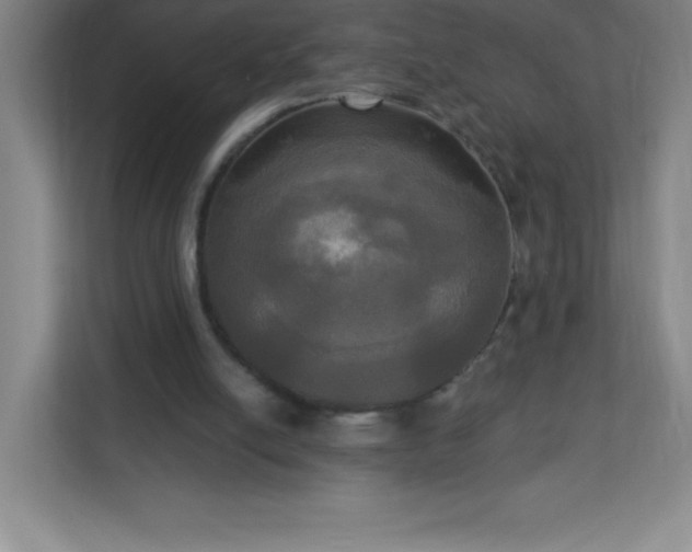 X0000113300054200909281112