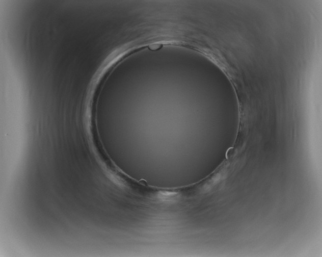 X0000113300055200909281113