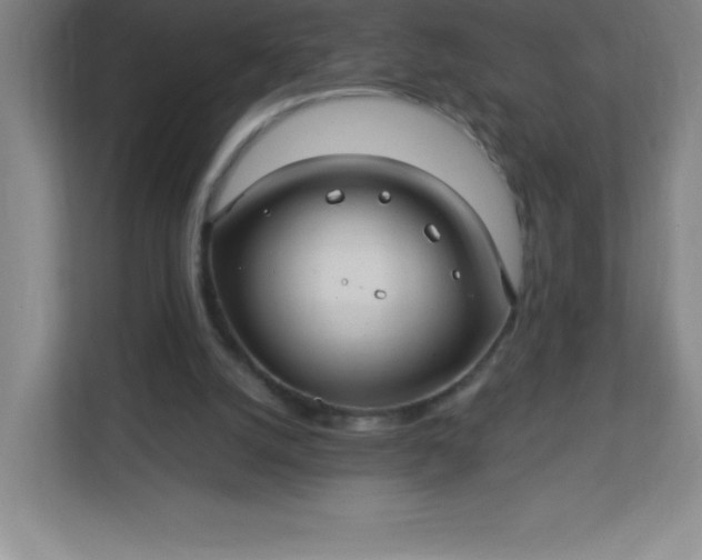 X0000113300056200909281113