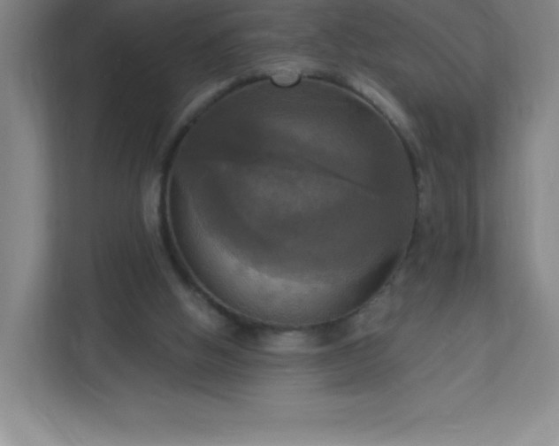 X0000113300058200909281113