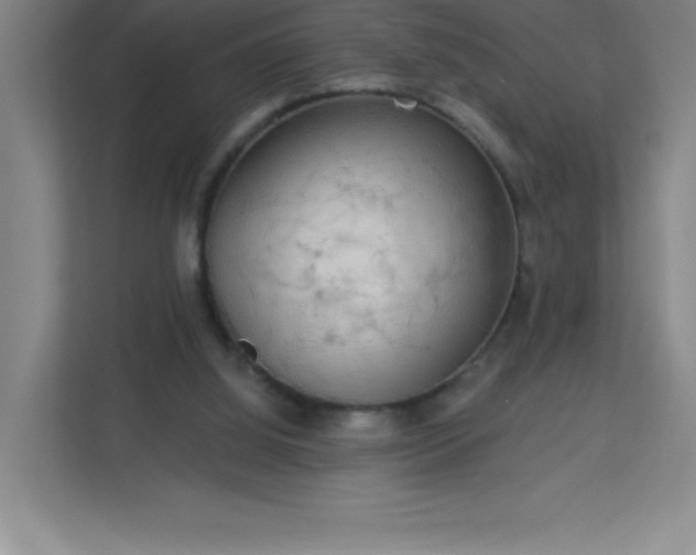 X0000113300060200909281113