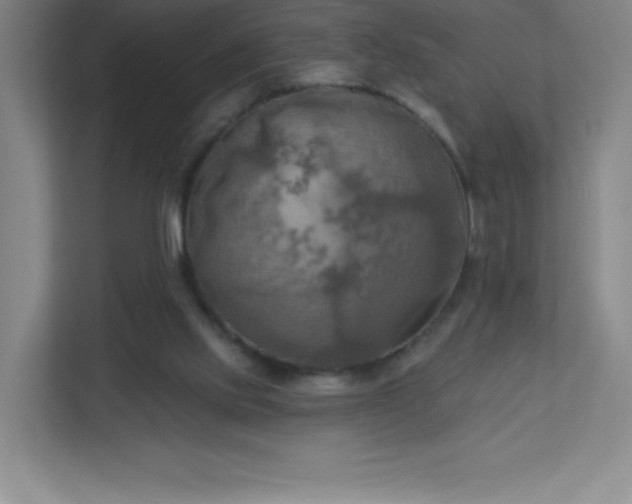 X0000113300061200909281113