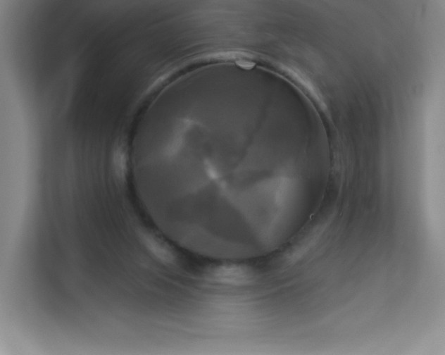 X0000113300063200909281113