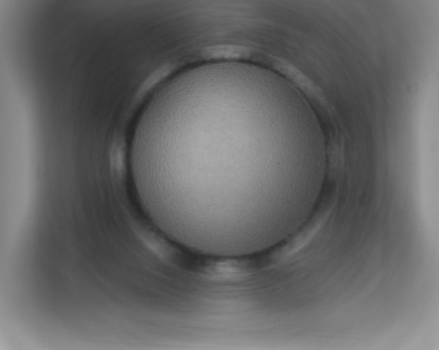 X0000113300064200909281113