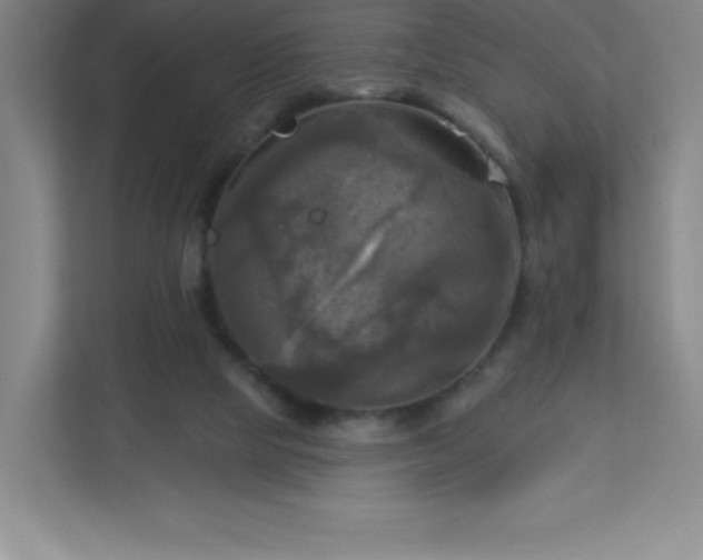 X0000113300065200909281113