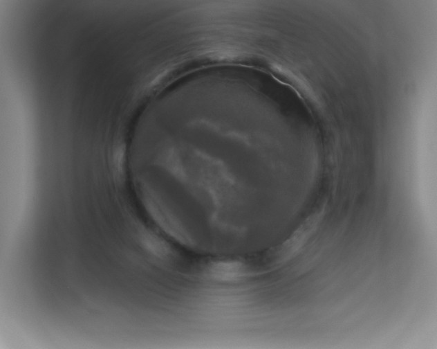 X0000113300066200909281113