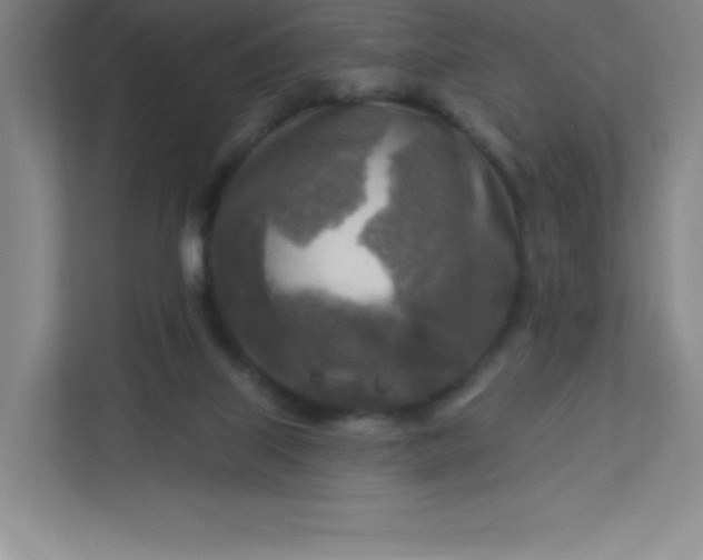 X0000113300067200909281113