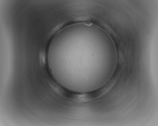 X0000113300068200909281113