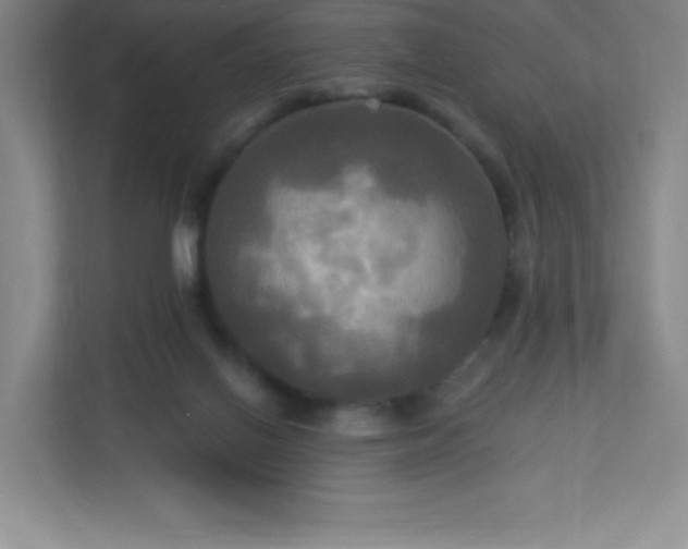 X0000113300070200909281113