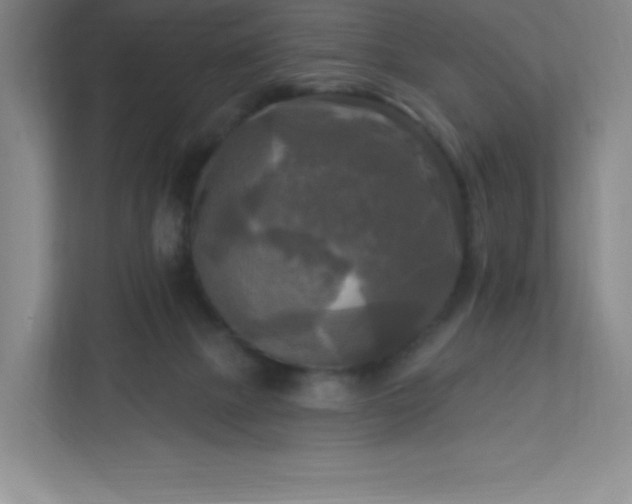 X0000113300073200909281113