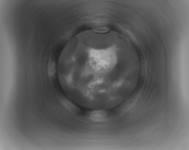 X0000113300077200909281113