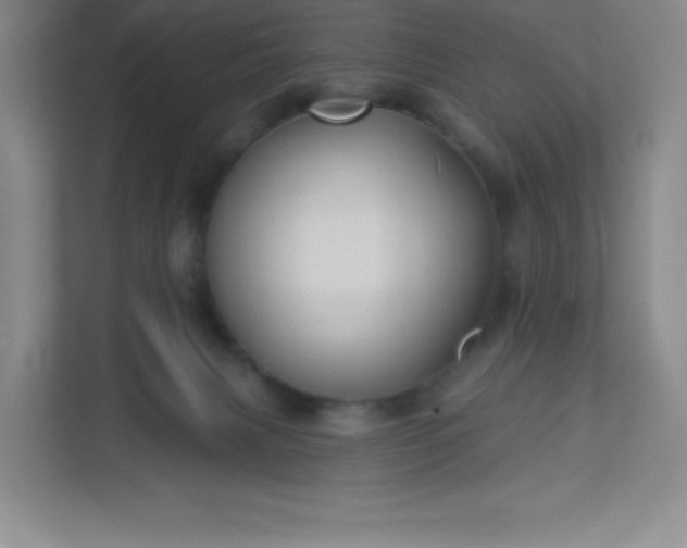 X0000113300079200909281113