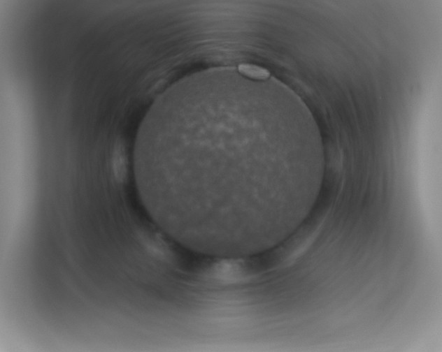 X0000113300080200909281113