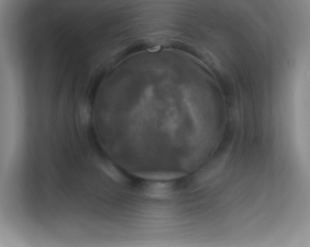 X0000113300081200909281113