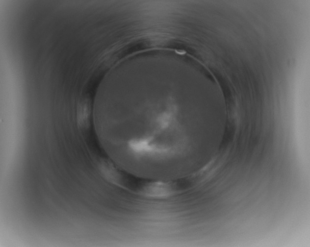 X0000113300082200909281113