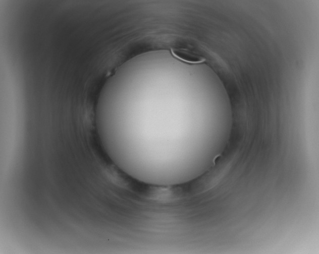 X0000113300083200909281113