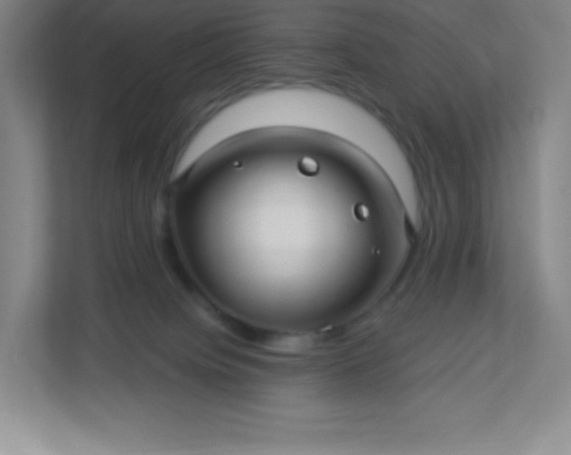 X0000113300084200909281113