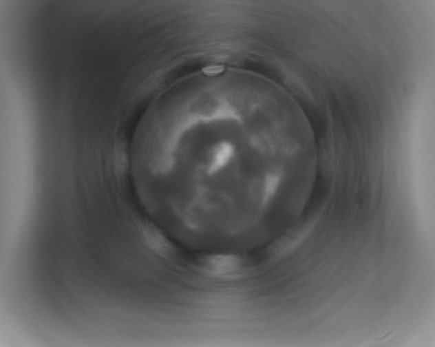 X0000113300085200909281113