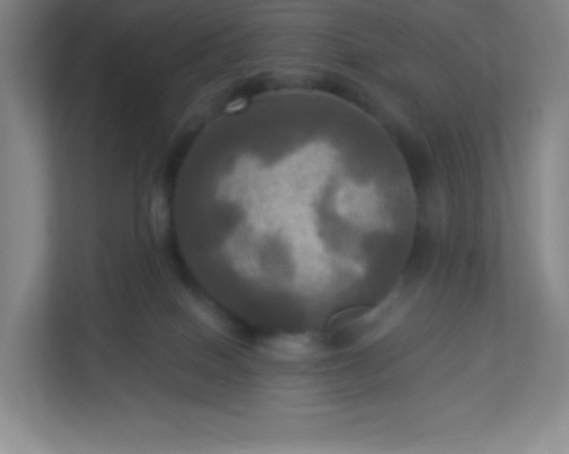 X0000113300086200909281113