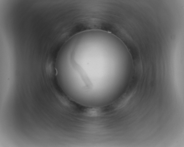 X0000113300088200909281113