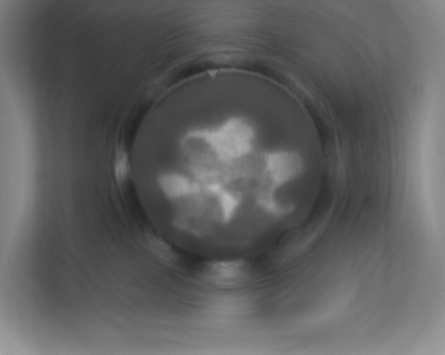 X0000113300089200909281113