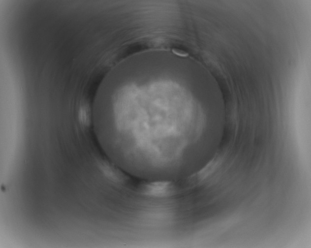 X0000113300090200909281113