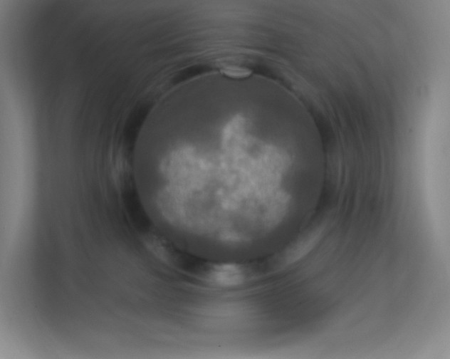 X0000113300091200909281113