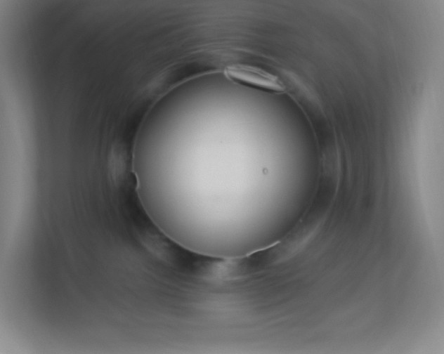 X0000113300092200909281113