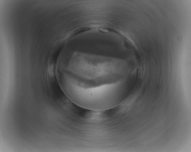 X0000113300093200909281113