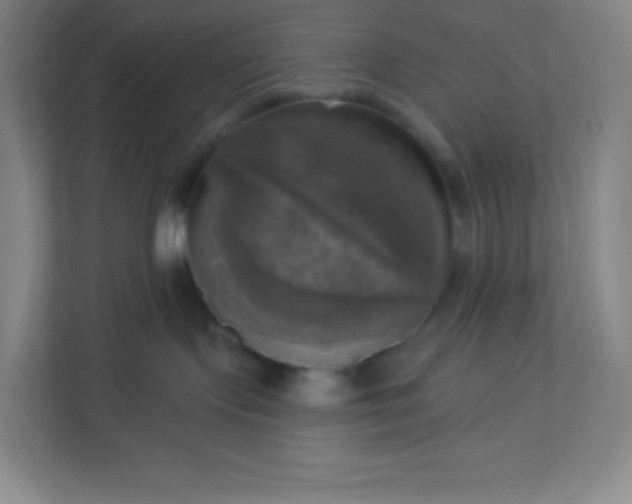 X0000113300095200909281113