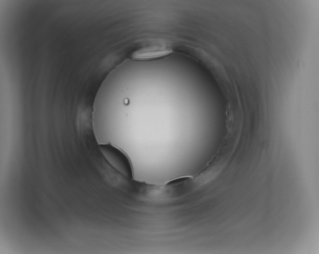 X0000113300096200909281113