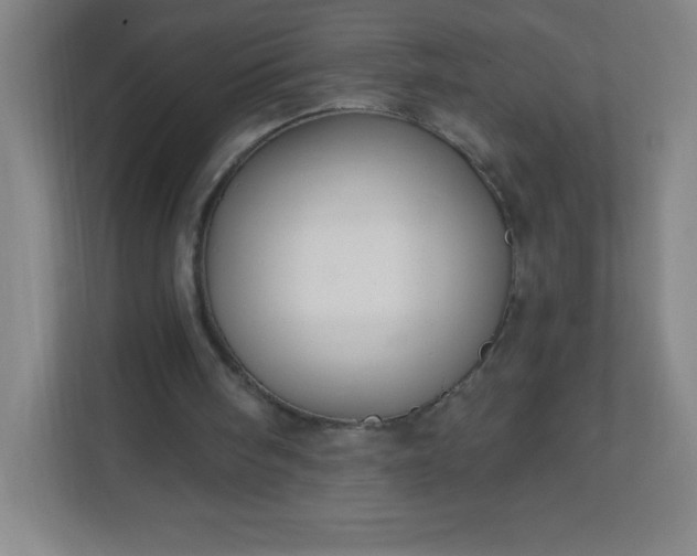 X0000113300098200909281112