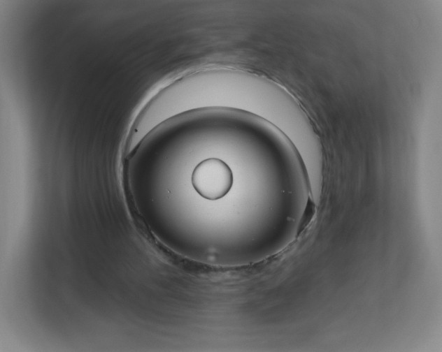 X0000113300100200909281112