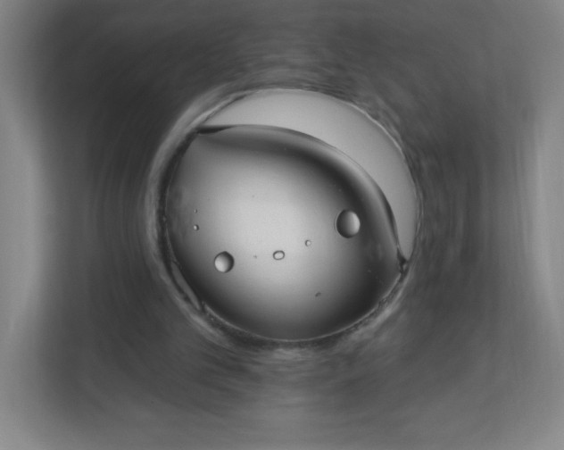 X0000113300101200909281112