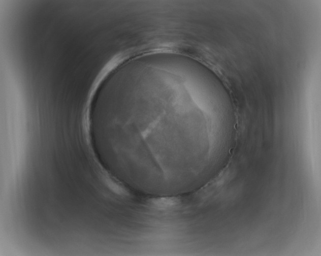 X0000113300102200909281112