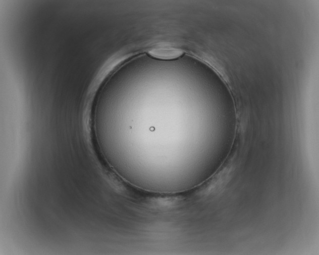 X0000113300103200909281112