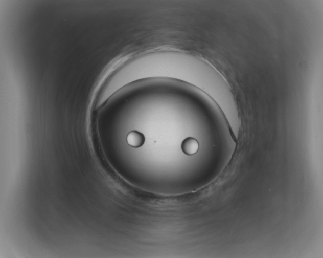 X0000113300104200909281112