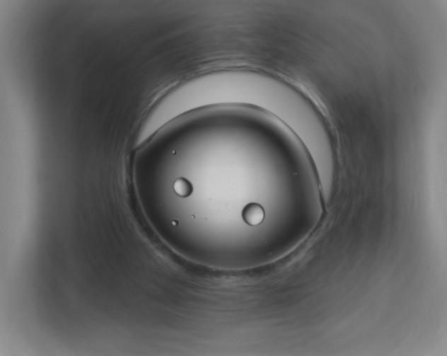 X0000113300105200909281112