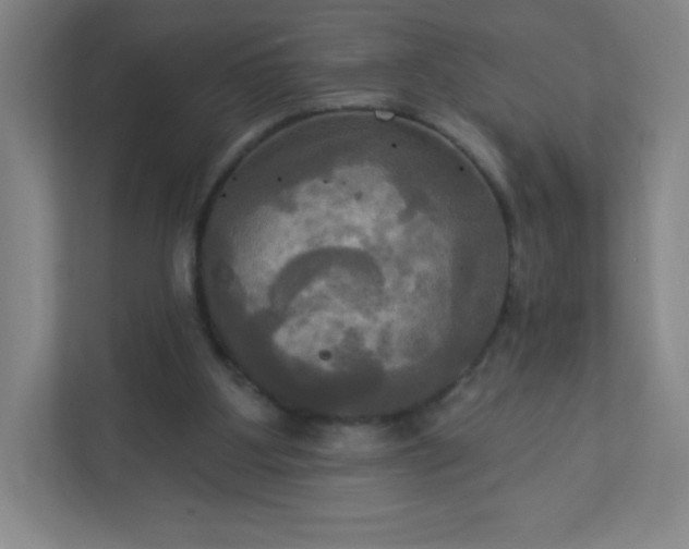 X0000113300107200909281112