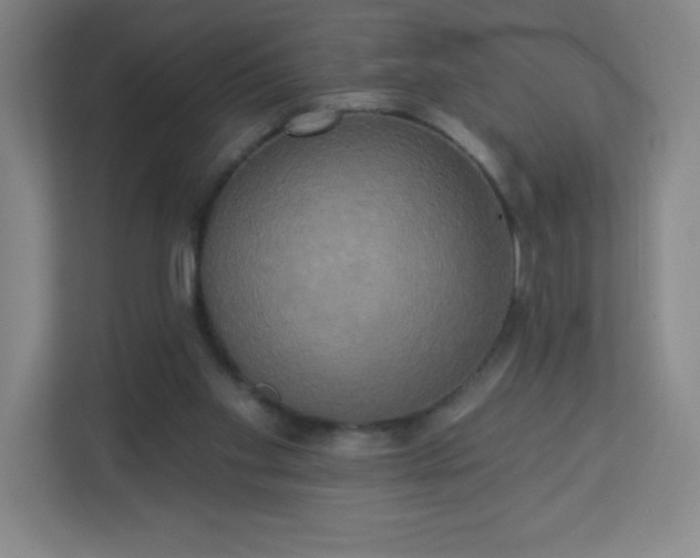 X0000113300109200909281112