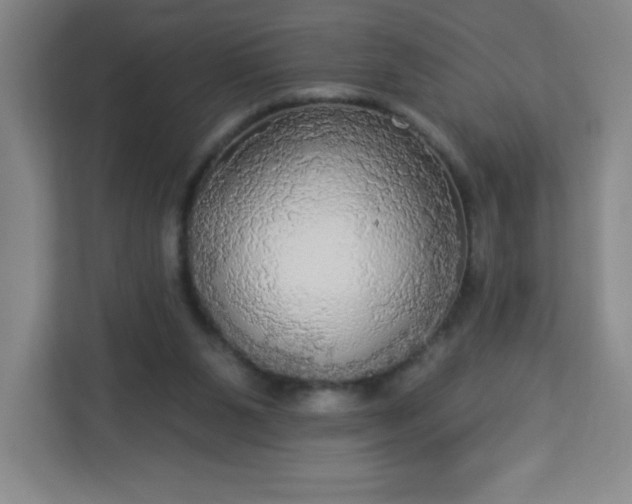 X0000113300111200909281112