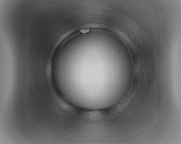 X0000113300112200909281112