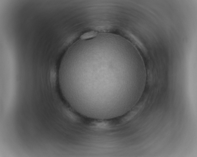 X0000113300113200909281112